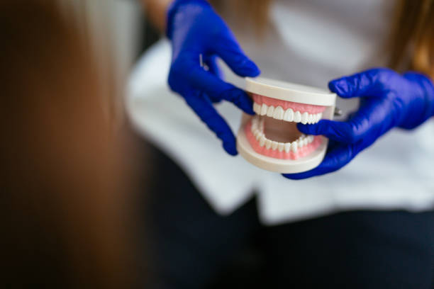  Town N Country, FL Holistic Dental Services Pros