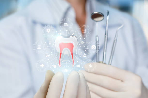 Best Cosmetic Dentistry  in Town N Country, FL